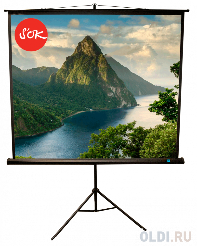 

Экран для проектора S'OK SCPST-180x180BLCK 100'' 1:1 напольный, на треноге, матовый, черный