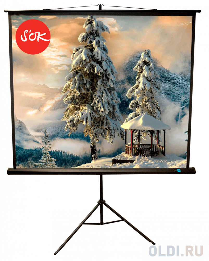 

Экран для проектора S'OK SCPST-200x200BLCK 111'' 1:1 напольный, на треноге, матовый, черный