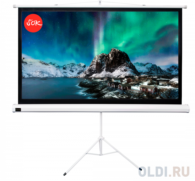 

Экран для проектора S'OK SCPST-221x124 100'' 16:9 напольный, на треноге, матовый, белый
