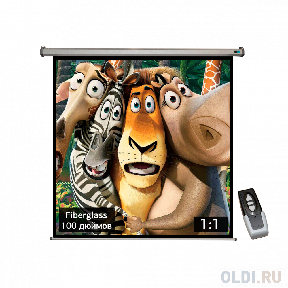 

Экран S'OK SCPSM-180x180FG-GR Pro 100'' 1:1 настенно-потолочный, моторизованный, Fiberglass, серый