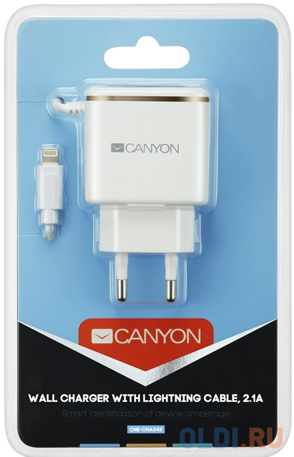 Сетевой адаптер Canyon H-043 2.1A USB белый серебристый CNE-CHA043WS - фото 3