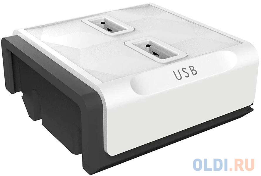Модуль PowerModule 2x USB для удлинителя PowerStrip, цвет белый