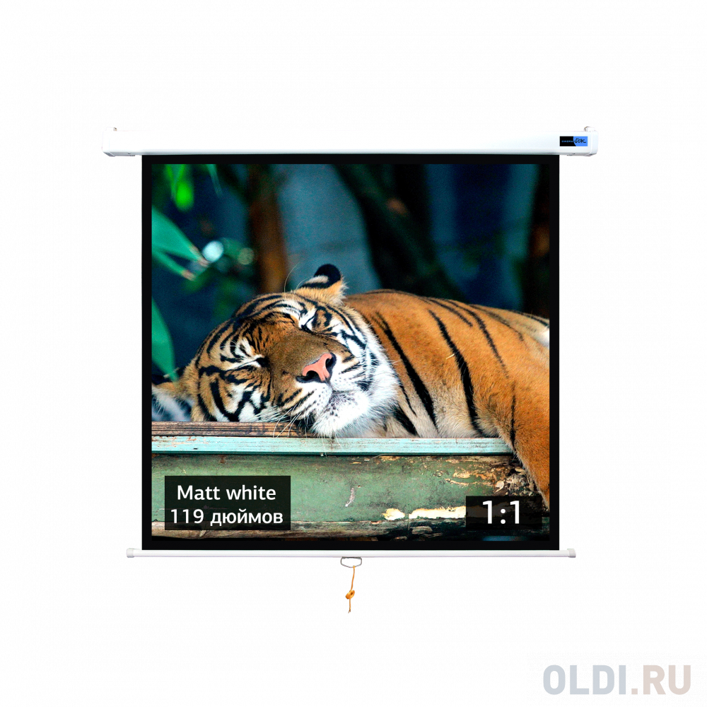 Экран для проектора S'OK SCPSW-213x213 119'' 1:1 настенно-потолочный, ручной, матовый, белый - фото 1