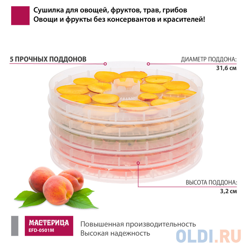 Сушилка для овощей и фруктов Мастерица EFD-0501M белый прозрачный Сушилка для овощей и фруктов Мастерица EFD-0501M белый прозрачный фото