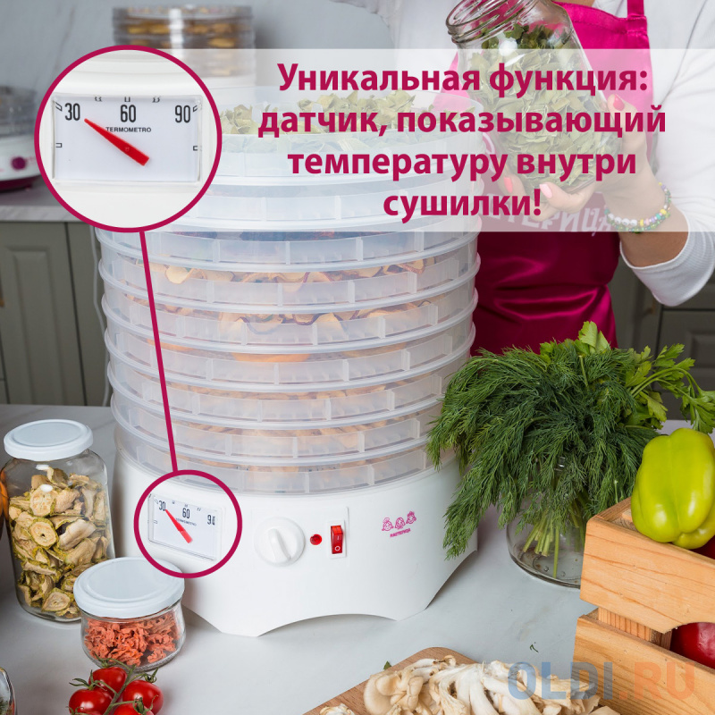 Сушилка для овощей и фруктов Мастерица EFD-0903VM белый с прозрачными поддонами Сушилка для овощей и фруктов Мастерица EFD-0903VM белый с прозрачными поддонами фото