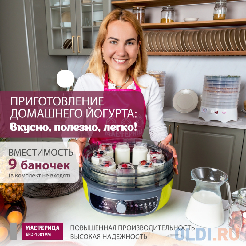 Сушилка для овощей и фруктов Мастерица EFD-1001VM оливковый с серым Сушилка для овощей и фруктов Мастерица EFD-1001VM оливковый с серым фото