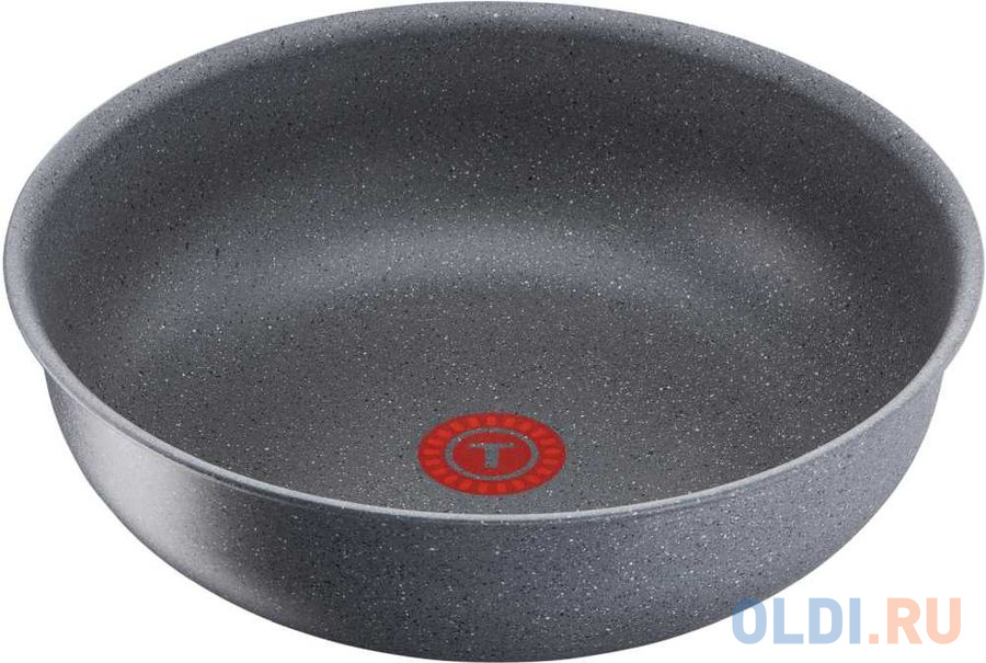 

ВОК Tefal Ingenio Mineralia Force 26 см алюминий 2100114701