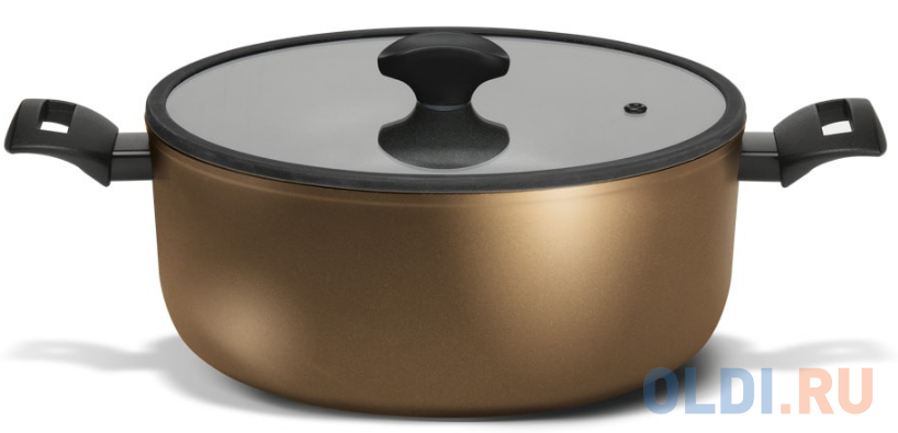 

Кастрюля TENACE с стекл. крышкой, 24см, TVS(DT474243710001C), Бронзовый