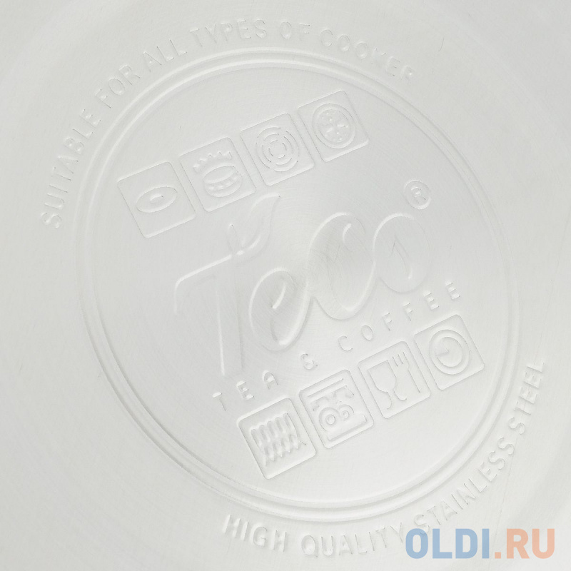 119-TC Чайник TECO  (2,0 л. со свистком,нерж.сталь стали)нержавеющая сталь.Свисткок. фото