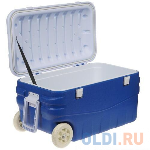 Автохолодильник Арктика 2000-80 80л голубой/белый 2000-80/AQU - фото 3