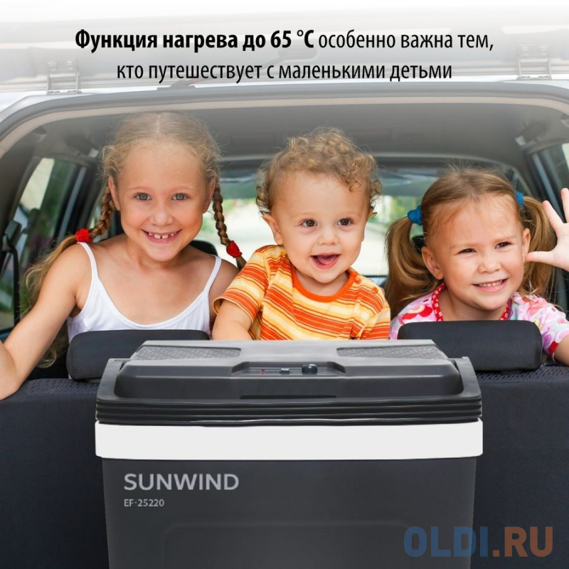 Автохолодильник SunWind EF-25220 25л 60Вт серый/белый фото