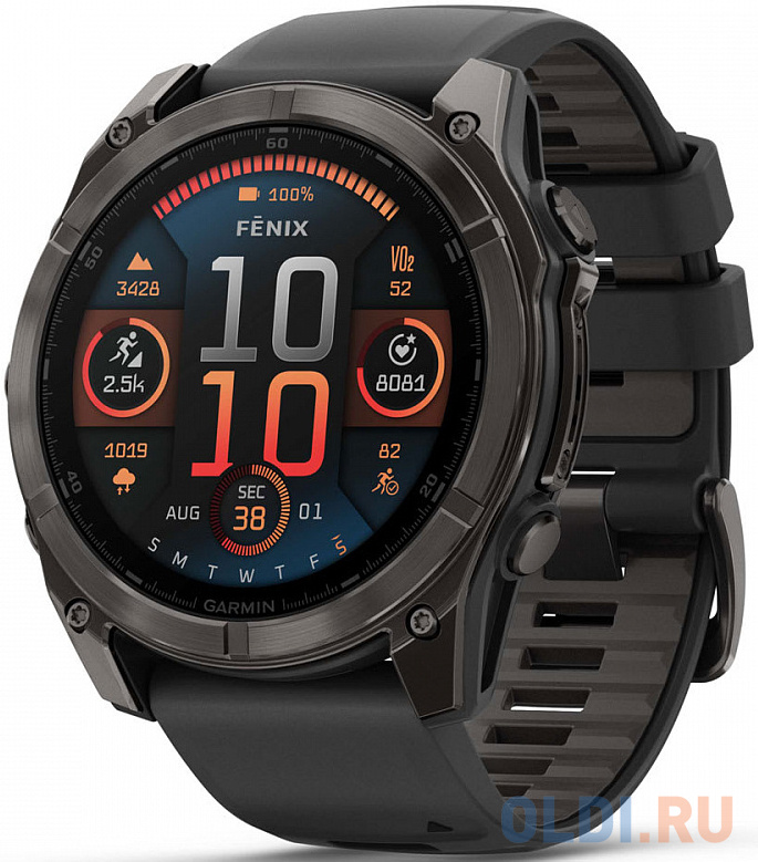 

Смарт-часы Garmin Fenix 8 AMOLED Sapphire угольно-черный DLC, черный 51мм