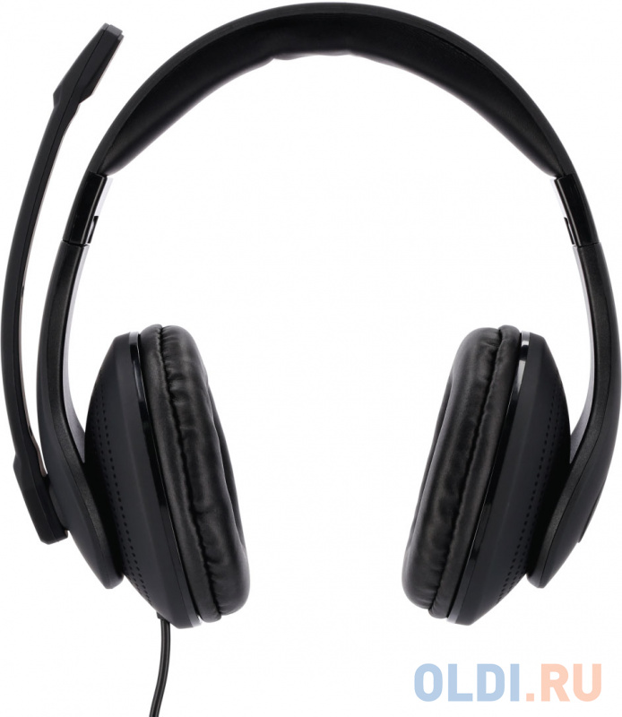 Наушники с микрофоном Hama HS-USB300 черный 2м мониторы оголовье (00139924) фото