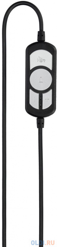 Наушники с микрофоном Hama HS-USB300 черный 2м мониторы оголовье (00139924) фото