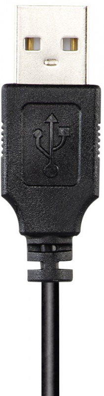 Наушники с микрофоном Hama HS-USB300 черный 2м мониторы оголовье (00139924) фото