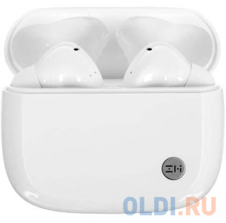 Беспроводные наушники ZMI PurPods Pro Wireless Noise Cancelling Earphone TW100ZM (ZMKTW100GLWH) White (404678) фото
