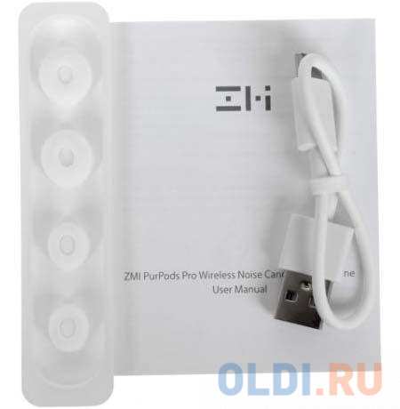 Беспроводные наушники ZMI PurPods Pro Wireless Noise Cancelling Earphone TW100ZM (ZMKTW100GLWH) White (404678) фото