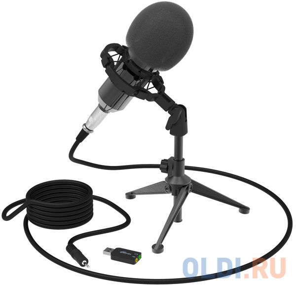 Микрофон проводной Ritmix RDM-160 2.5м черный, размер Высота 160 мм