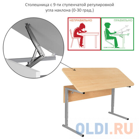 Стол-парта 2-местный, регулируемый угол, СУТ.55-01, 1200х500х640-780 мм, рост 4-6, серый каркас, ЛДСП клён Вид№4