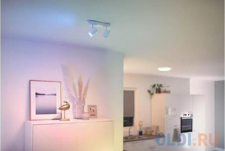 Светильник IMAGEO WiZ Spots 2x5W W 22-65K RGB фото