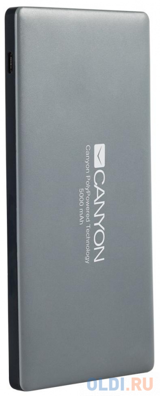 

Зарядное устройство CANYON CNS-TPBP5DG 5000mAh Li-pol, Smart IC, In 5V/2A, Out 5V/2A(Max), Темно-серый