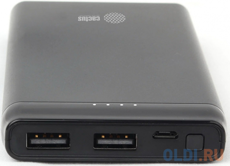Мобильный аккумулятор Cactus CS-PBFSPT-10000 10000mAh 3A 2xUSB солн.бат. черный фото