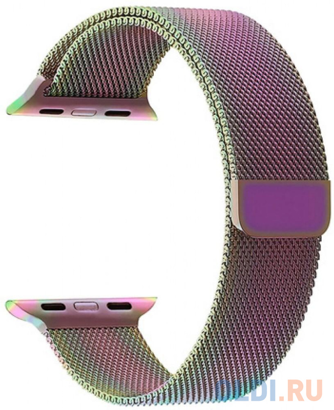 

Ремешок Lyambda Capella для Apple Watch разноцветный DS-APM02-40-SC