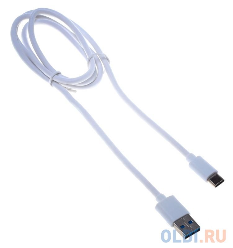 Кабель USB 3.0 Type-C 1м Бюрократ BHP USB3-TPC 1 круглый белый