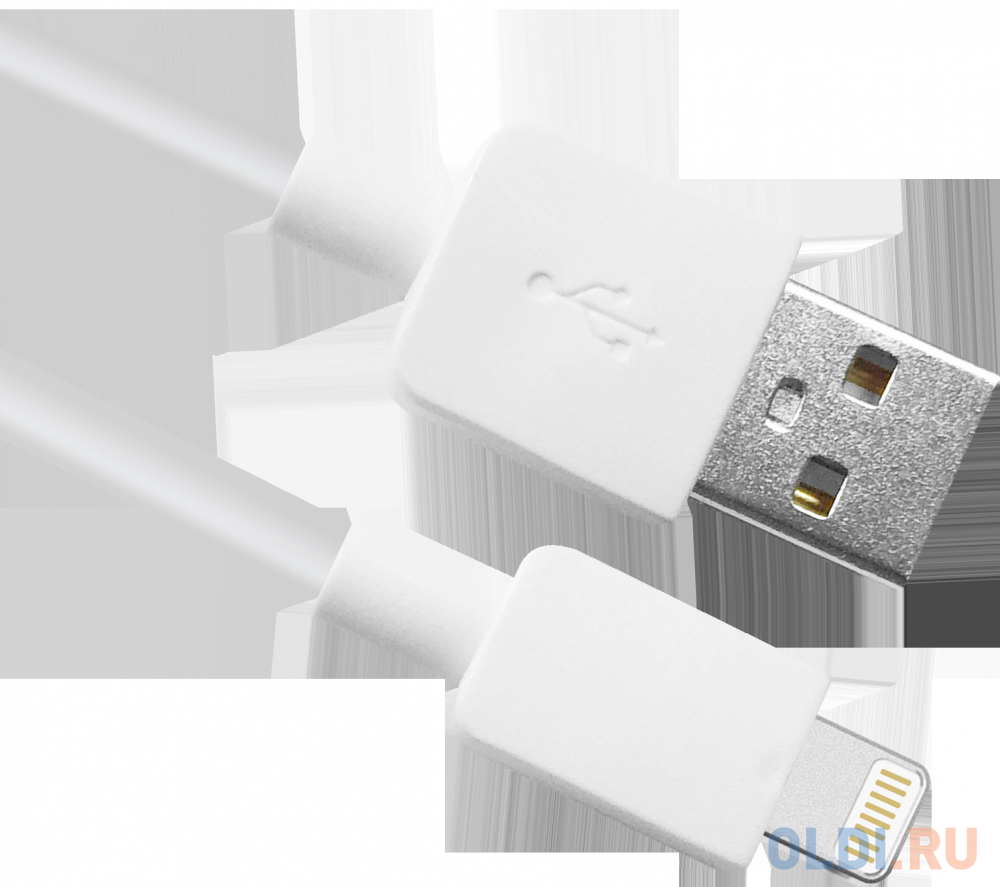 USB  ACH02-01L AM-Lightning, , 1m, 
