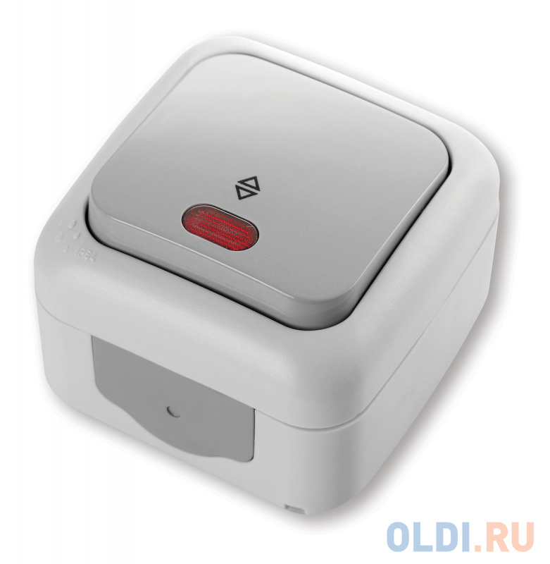 

Выключатель Panasonic Palmiye откр. 1кл. IP54 серый глянцевый (упак.:1шт) (90555563-RU)