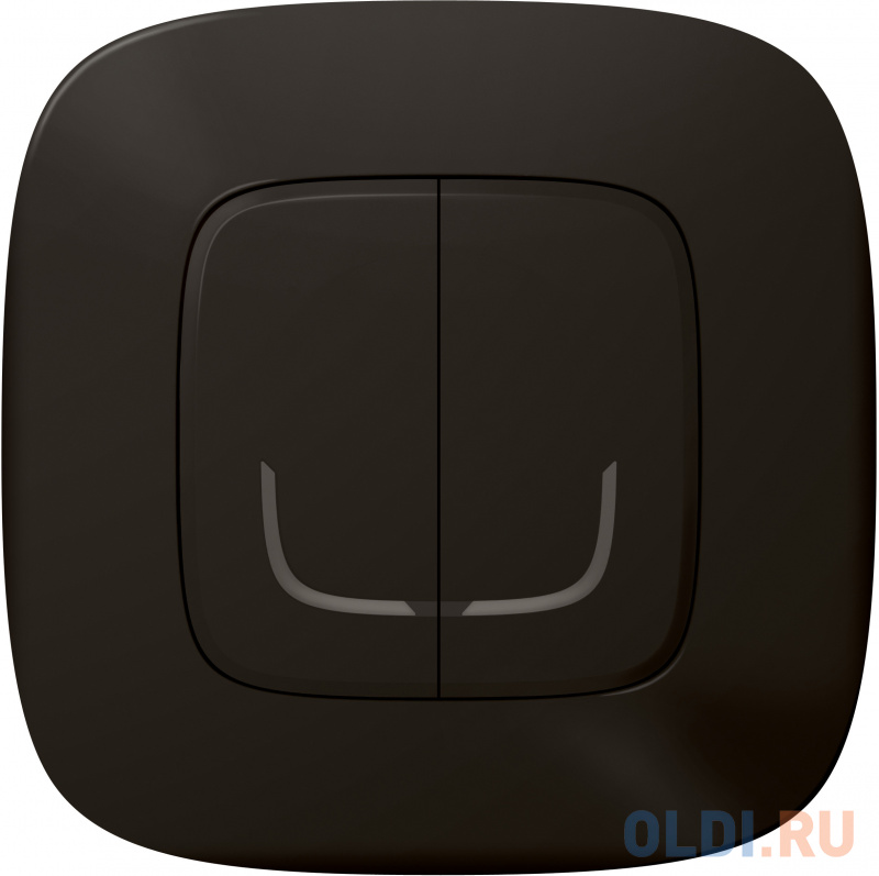 

Коллекция умных устройств Valena Allure with NETATMO. Умный беспроводной выключатель 2-клавишный. Цвет Антрацит