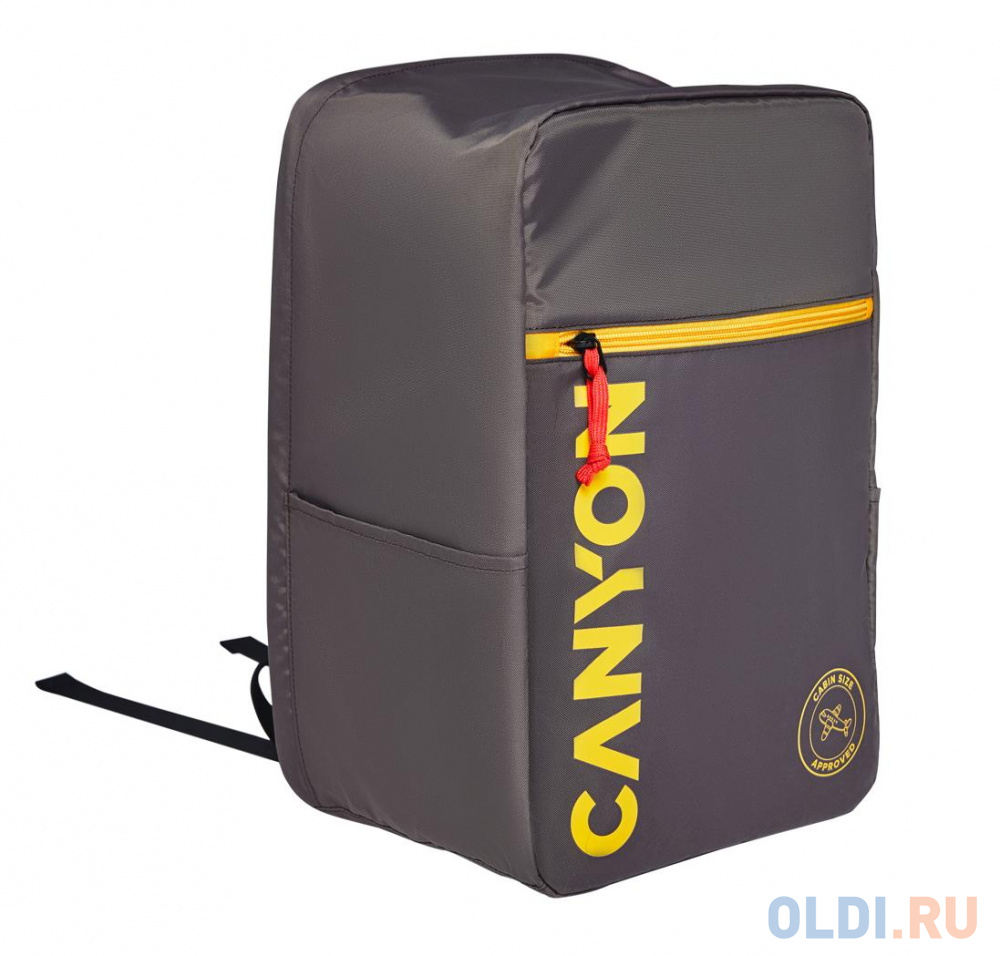 Рюкзак 15.6" Canyon CSZ-02 полиэстер серый