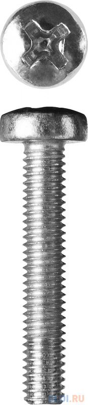 

Винт DIN 7985, M3 x 20 мм, 5 кг, кл. пр. 4.8, оцинкованный, ЗУБР