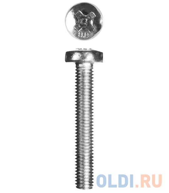 

Винт DIN 7985, M6 x 30 мм, 5 кг, кл. пр. 4.8, оцинкованный, ЗУБР