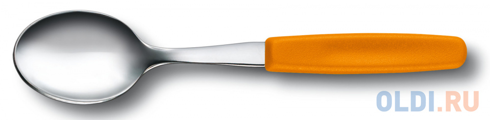 

Ложка чайная Victorinox Swiss Classic 5.1576.L9