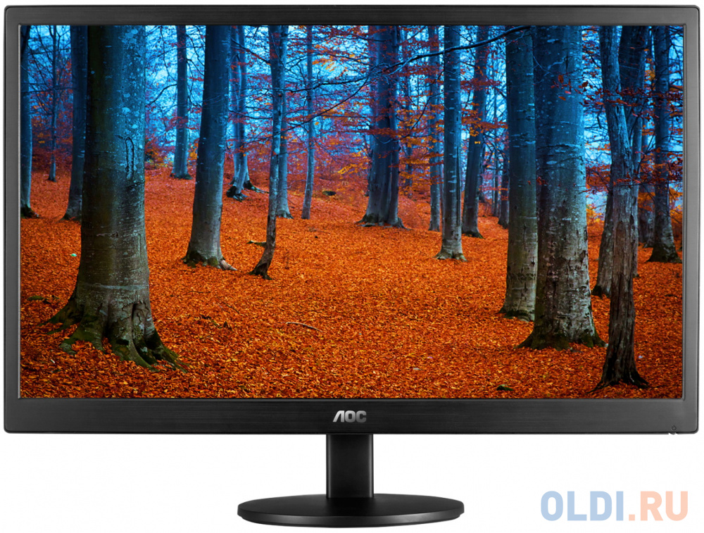 

Монитор 19" AOC E970SWN черный TN 1366x768 200 cd/m^2 5 ms VGA