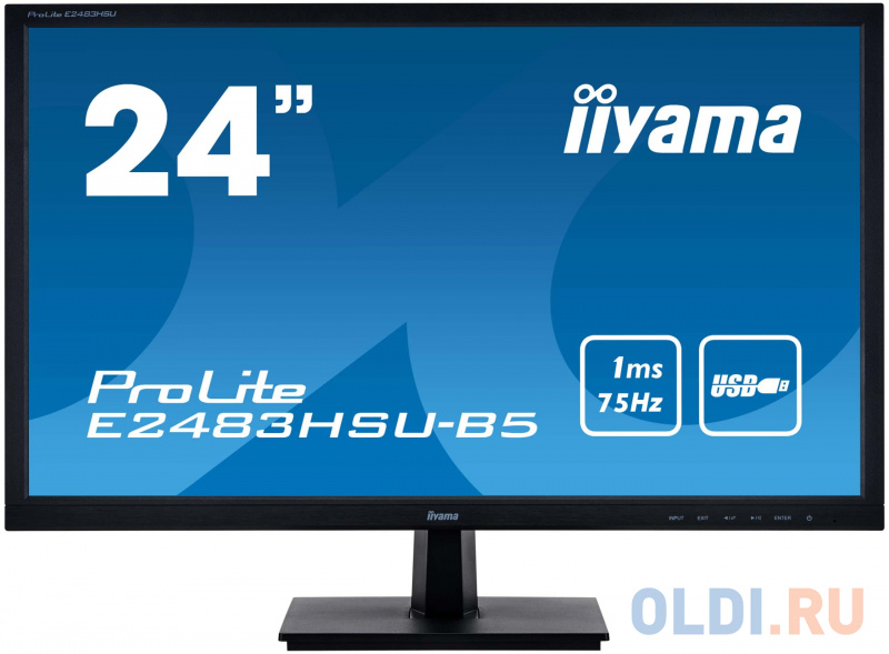 

Монитор 24" iiYama E2483HSU-B5 черный TN 1920x1080 250 cd/m^2 1 ms HDMI VGA DisplayPort Аудио USB