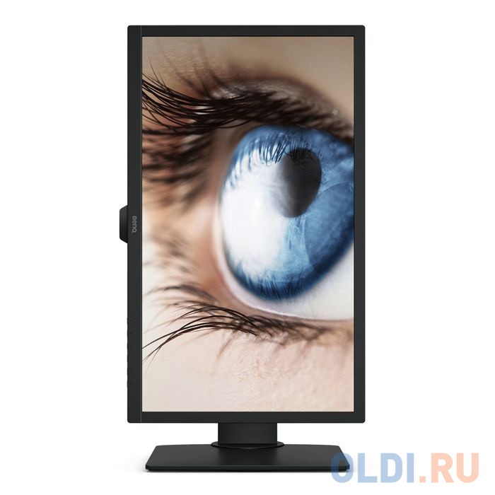 Монитор 24" BENQ BL2483TM черный TN 1920x1080 250 cd/m^2 1 ms DVI DisplayPort VGA фото