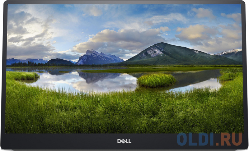

Монитор 14" DELL Portable C1422H черный IPS 1920x1080 300 cd/m^2 6 ms USB Type-C 1422-7746