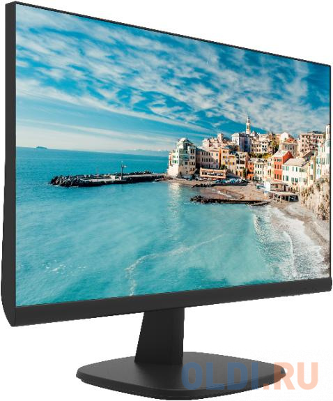 Монитор Hikvision  DS-D5024FN фото