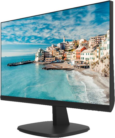 Монитор Hikvision  DS-D5024FN фото