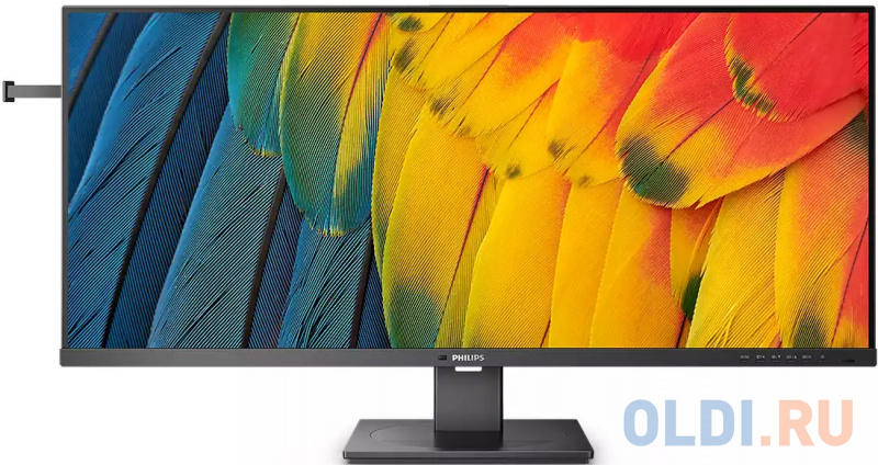 Монитор 40" Philips 40B1U5600 фото