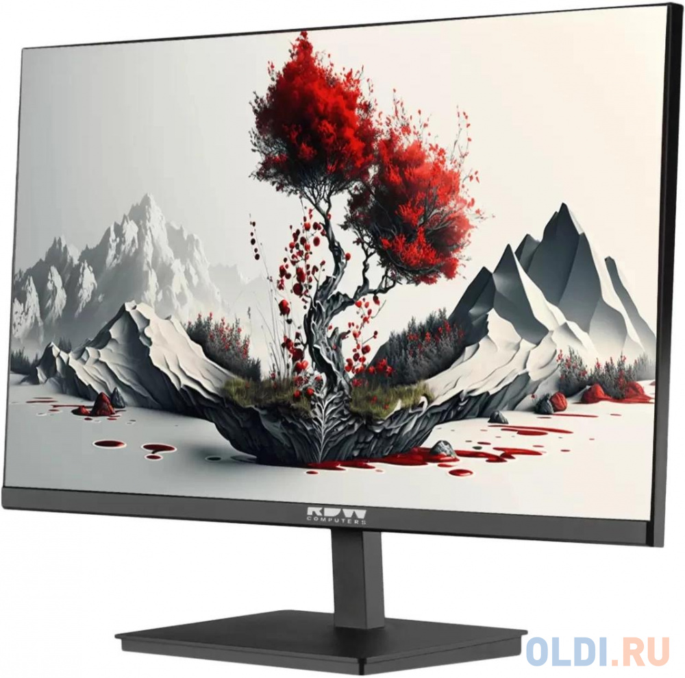 Самые дешовые Монитор RDW Computers   RDW2401K черный IPS 4ms 16:9 HDMI M/M матовая HAS Piv 1000:1 300cd 178гр/178гр  