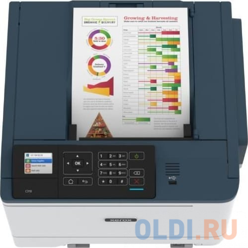 Светодиодный принтер Xerox C310V_DNI фото