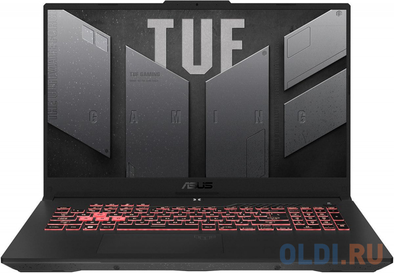 Ноутбук ASUS TUF FA707RM 90NR0972-M001N0 17.3"