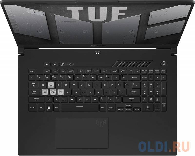 Ноутбук ASUS TUF FA707RM 90NR0972-M001N0 17.3" фото