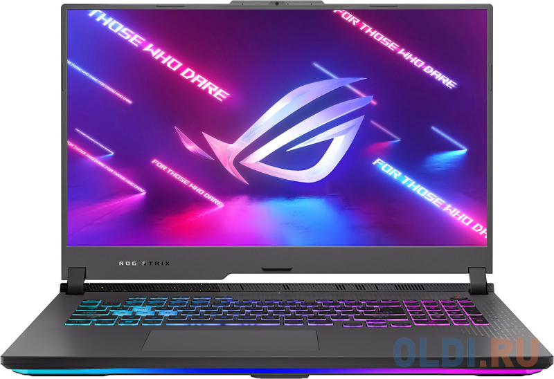 Ноутбук ASUS ROG Strix G17 2023 G713PU-LL043 90NR0C54-M00350 17.3", размер 39.5 x 28.2 x 3.1 см, цвет серый 7845HX - фото 1