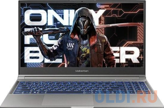 

Ноутбук Maibenben X565 X565FSFALGRE0 15.6", Серый