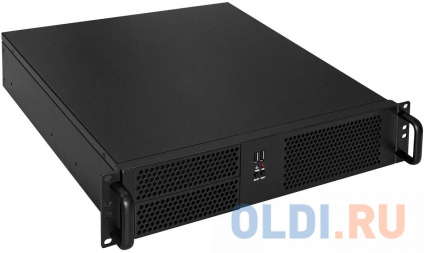    2U Exegate Pro 2U390-04 1000     