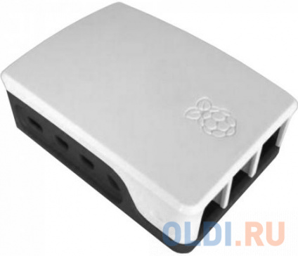  RA599  ACD Black+White ABS Case for Raspberry 4B  